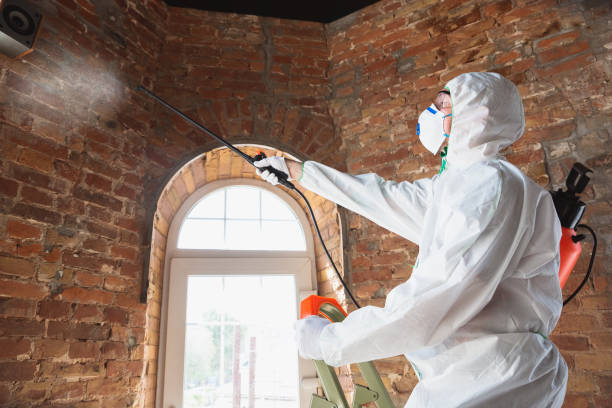 Mold Documentation for Insurance Claims