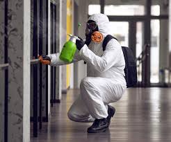 Why You Should Choose Our Mold Remediation Services in Ash Flat, AR